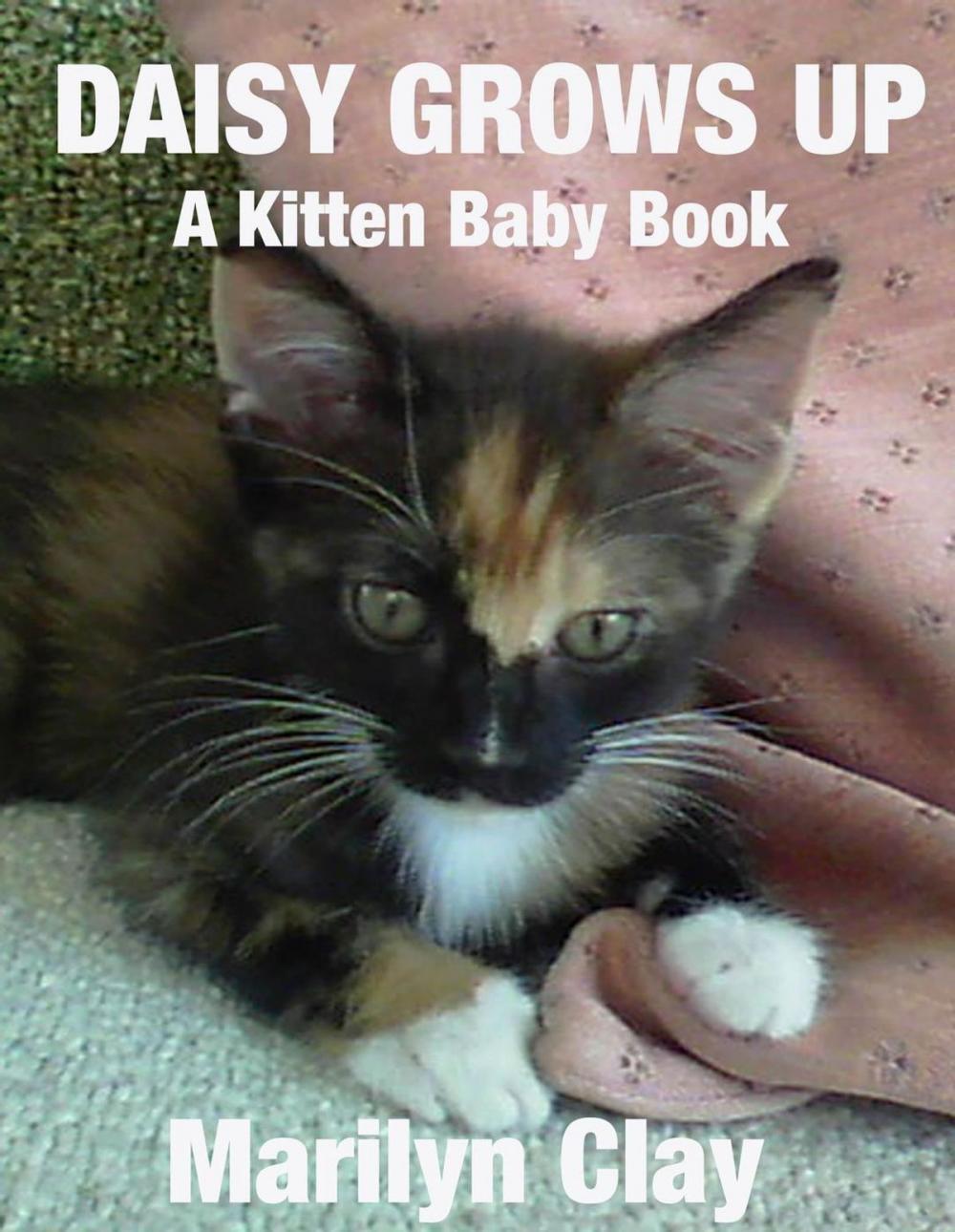 Big bigCover of Daisy Grows Up: A Kitten Baby Book