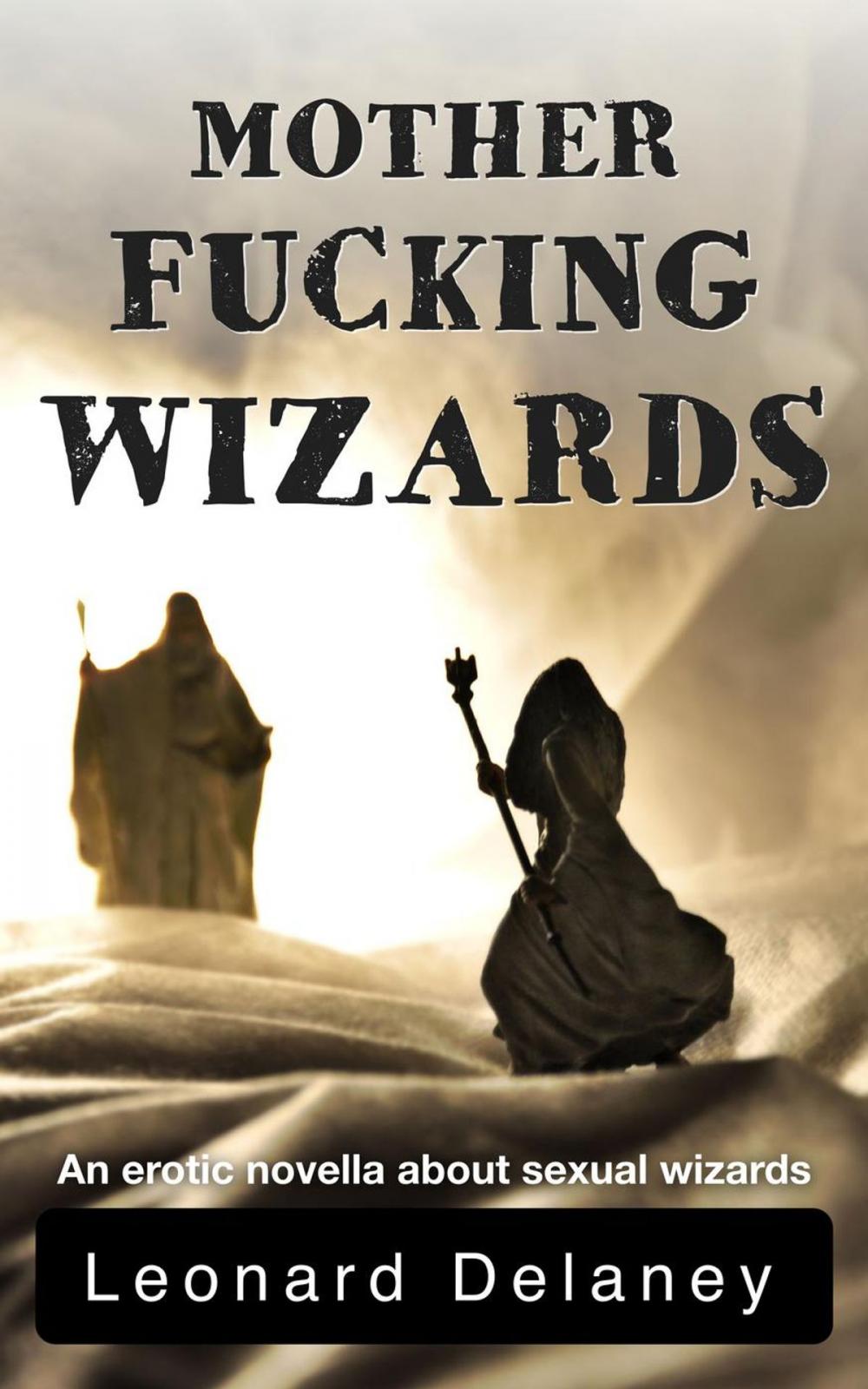 Big bigCover of Motherfucking Wizards