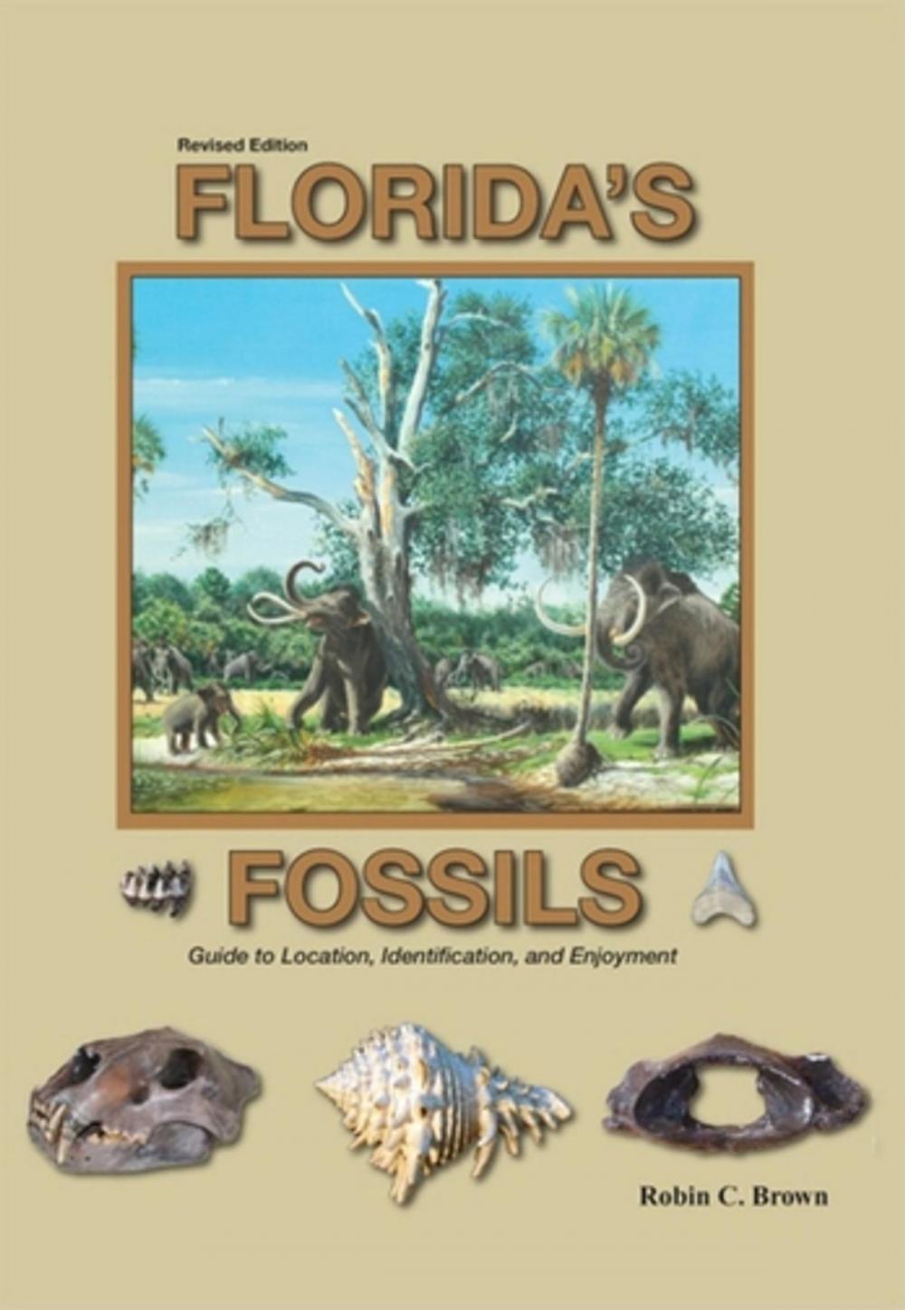 Big bigCover of Florida's Fossils