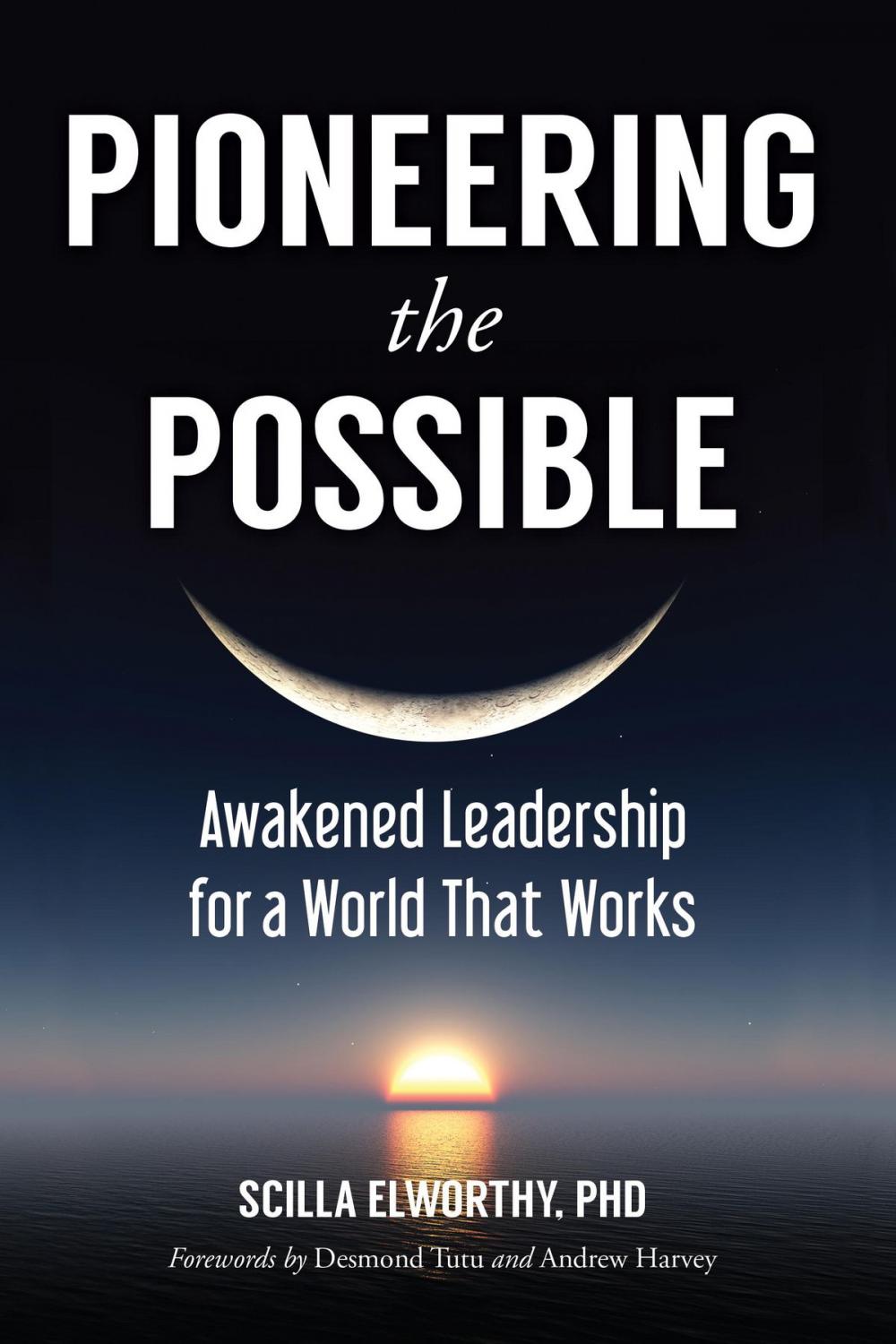 Big bigCover of Pioneering the Possible