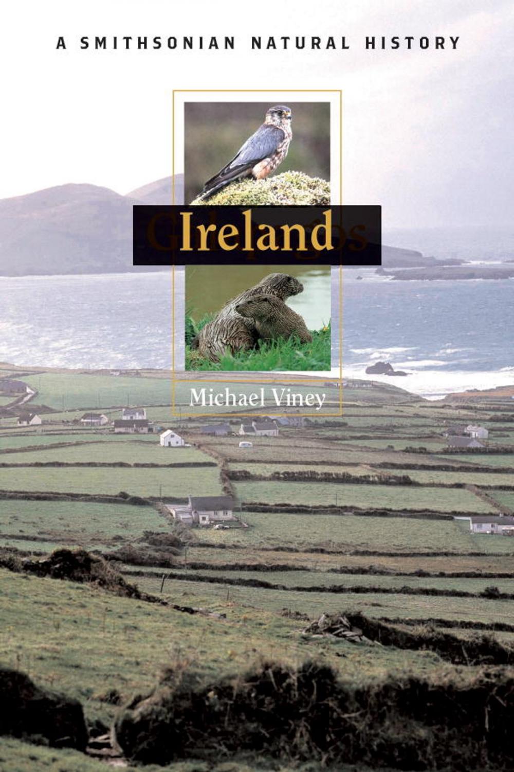 Big bigCover of Ireland