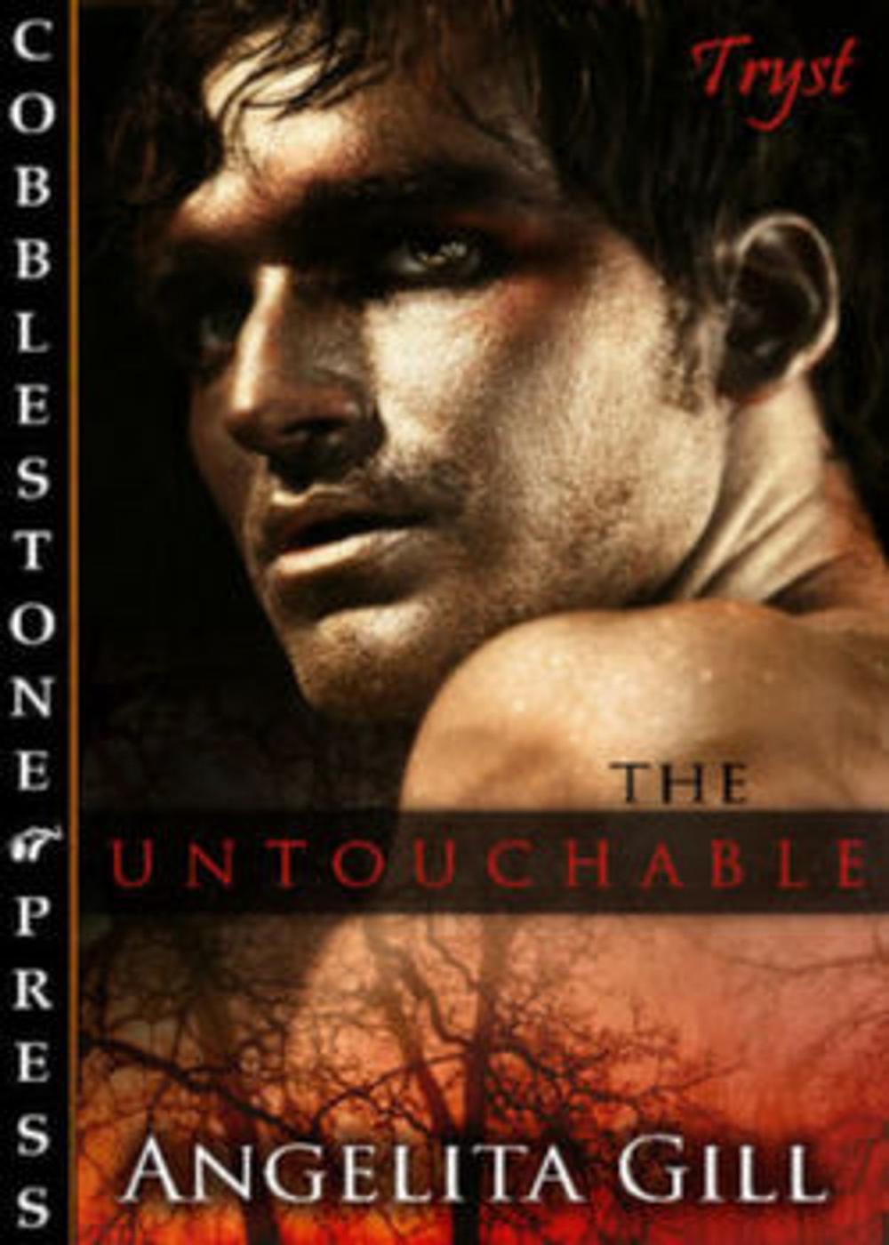 Big bigCover of The Untouchable