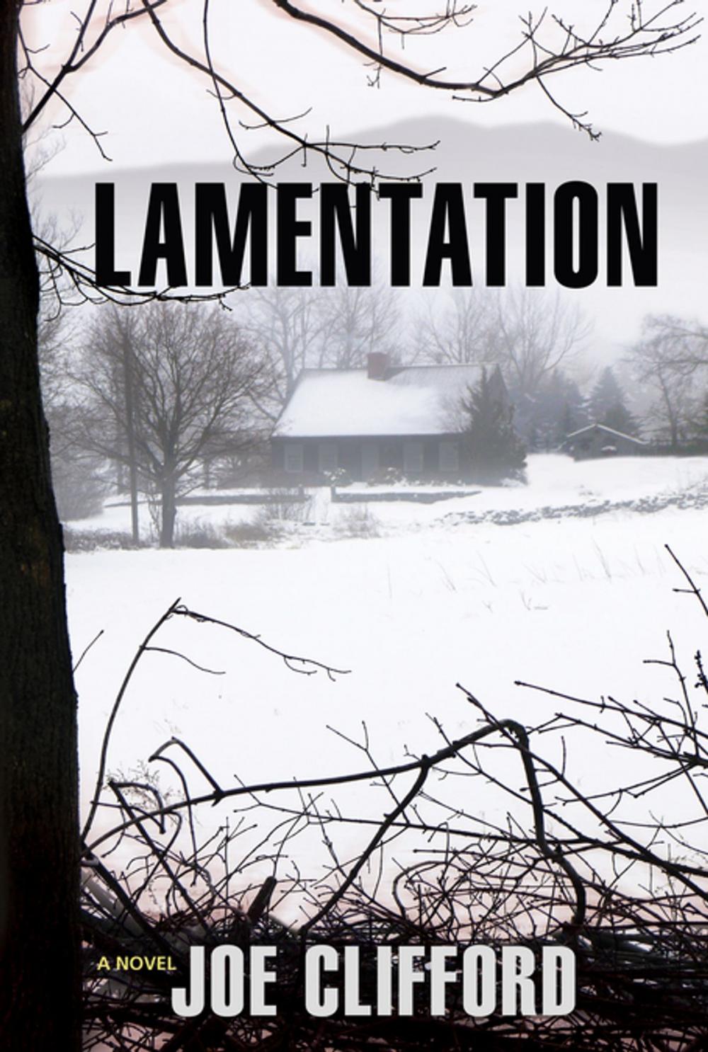 Big bigCover of Lamentation