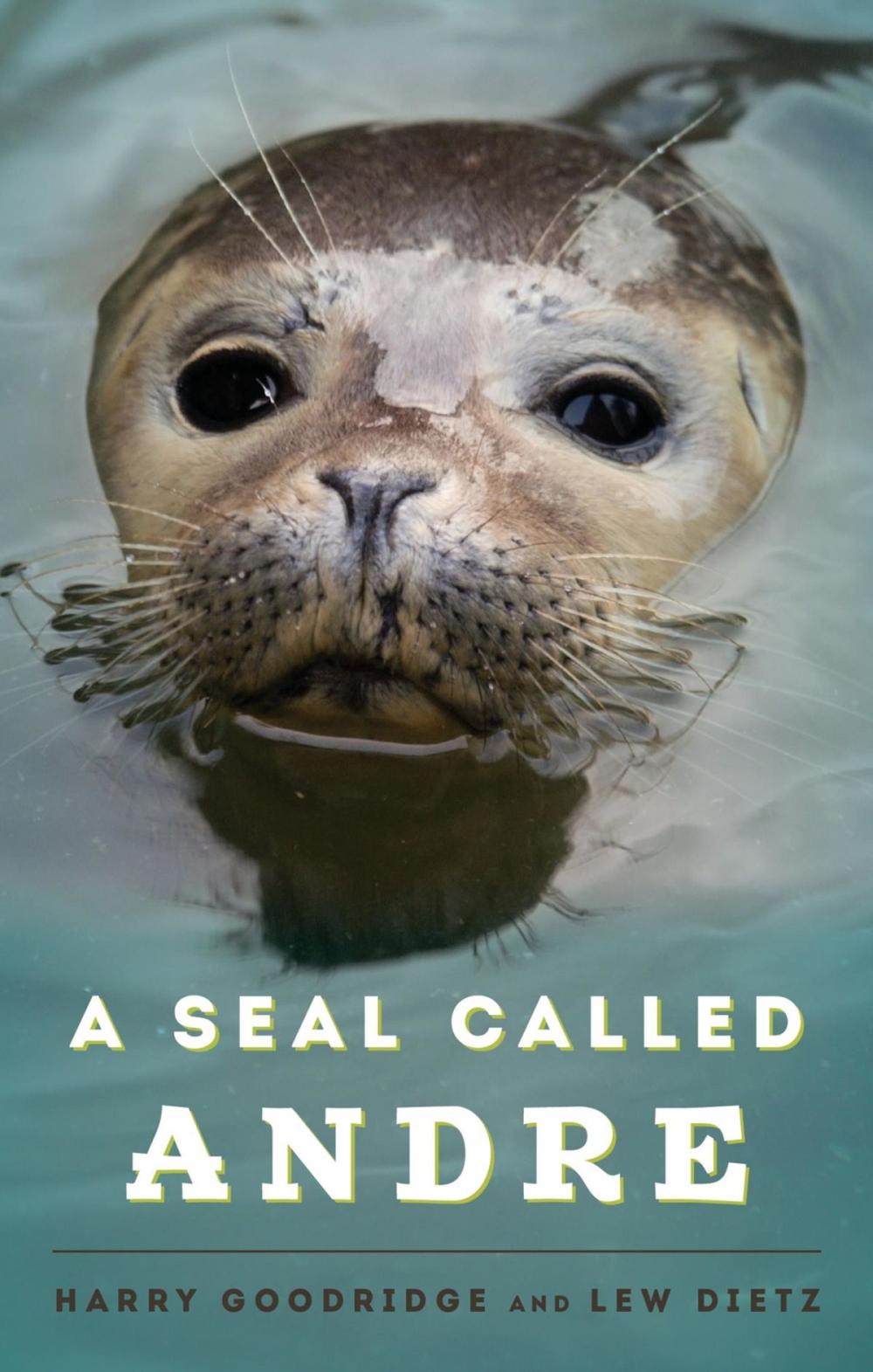 Big bigCover of A Seal Called Andre