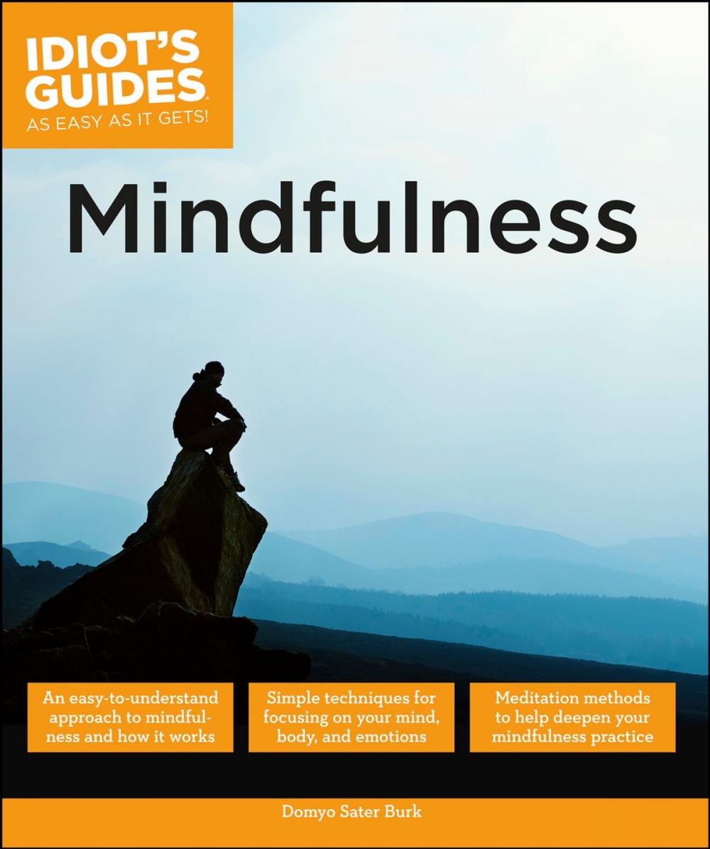 Big bigCover of Mindfulness