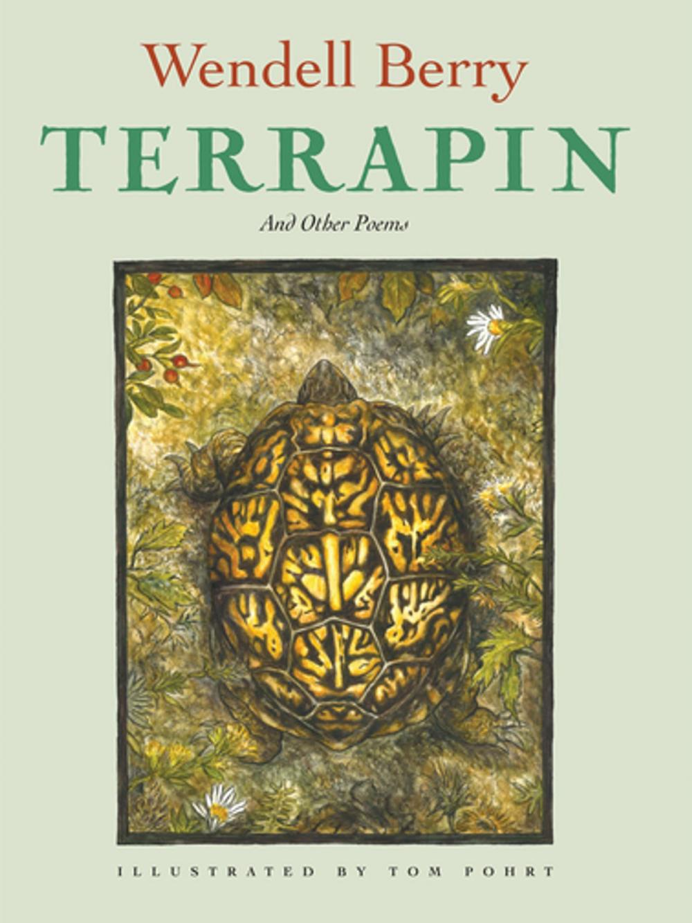 Big bigCover of Terrapin