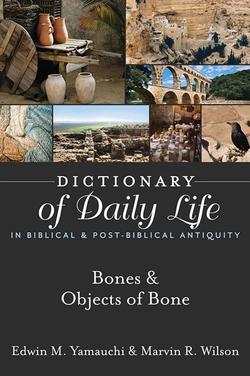 Big bigCover of Dictionary of Daily Life in Biblical & Post-Biblical Antiquity: Bones & Objects of Bone