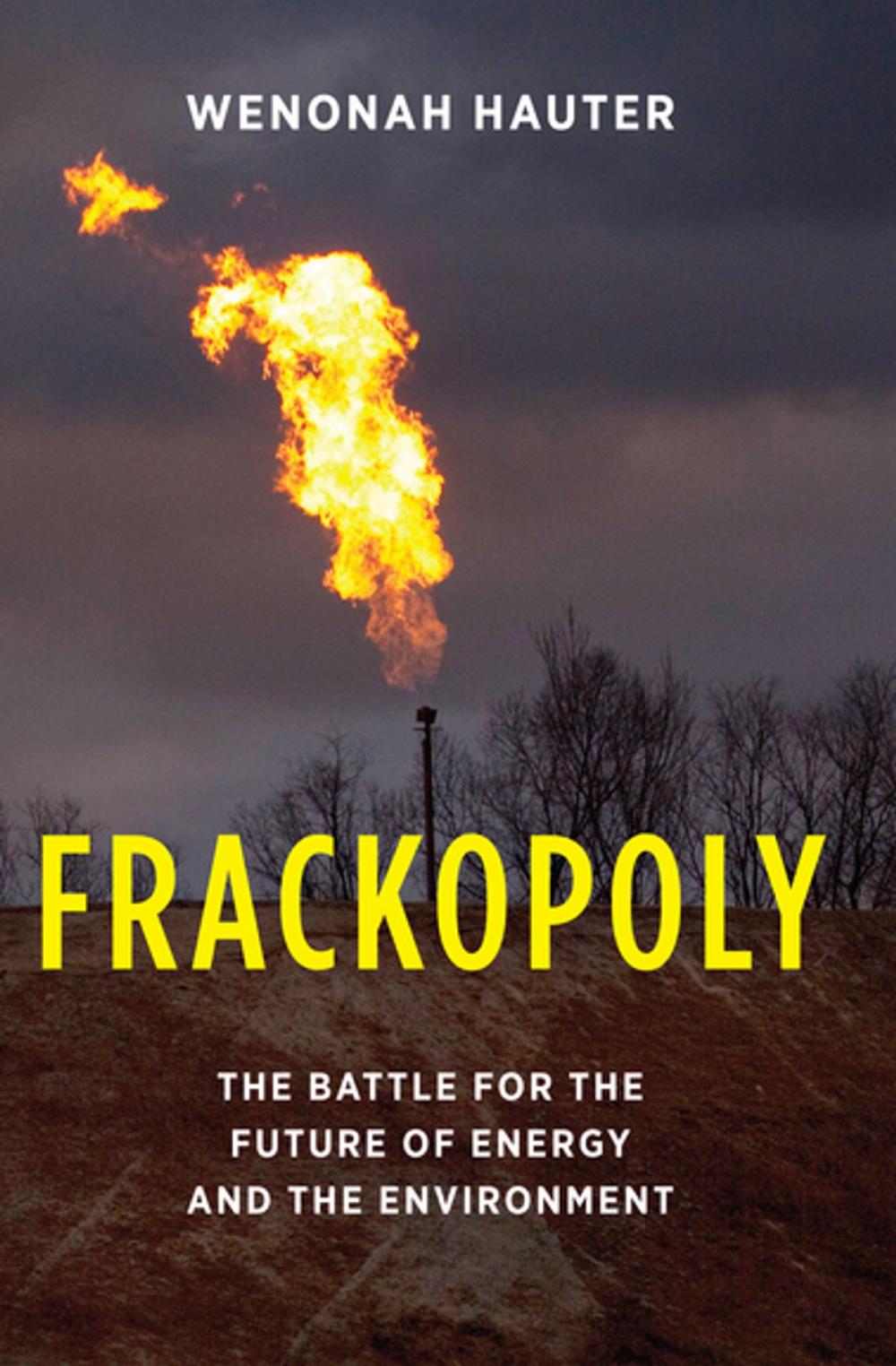 Big bigCover of Frackopoly