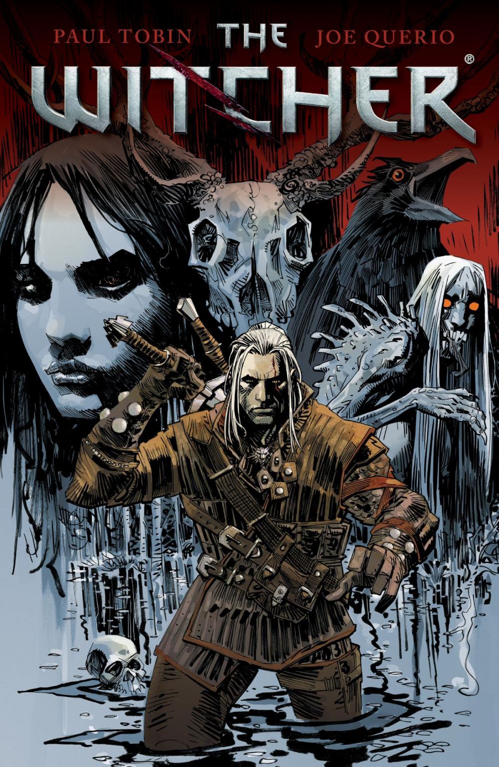 Big bigCover of The Witcher Volume 1