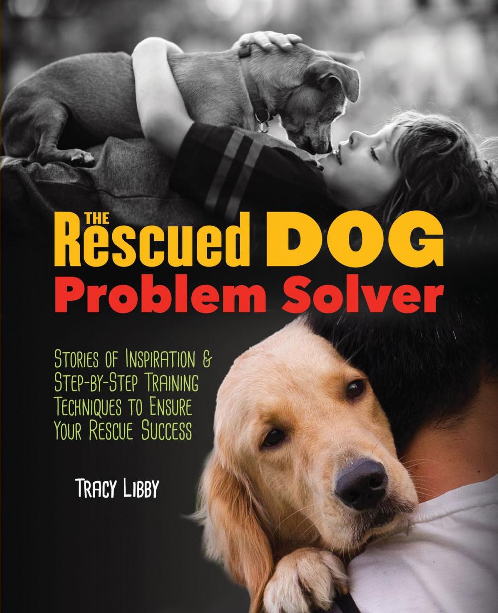 Big bigCover of The Rescued Dog Problem Solver