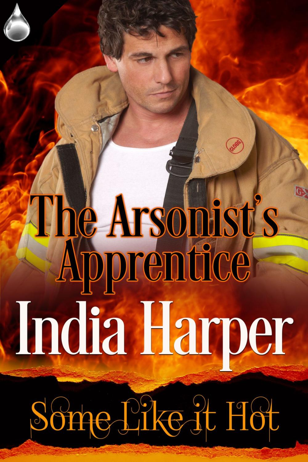 Big bigCover of The Arsonist's Apprentice