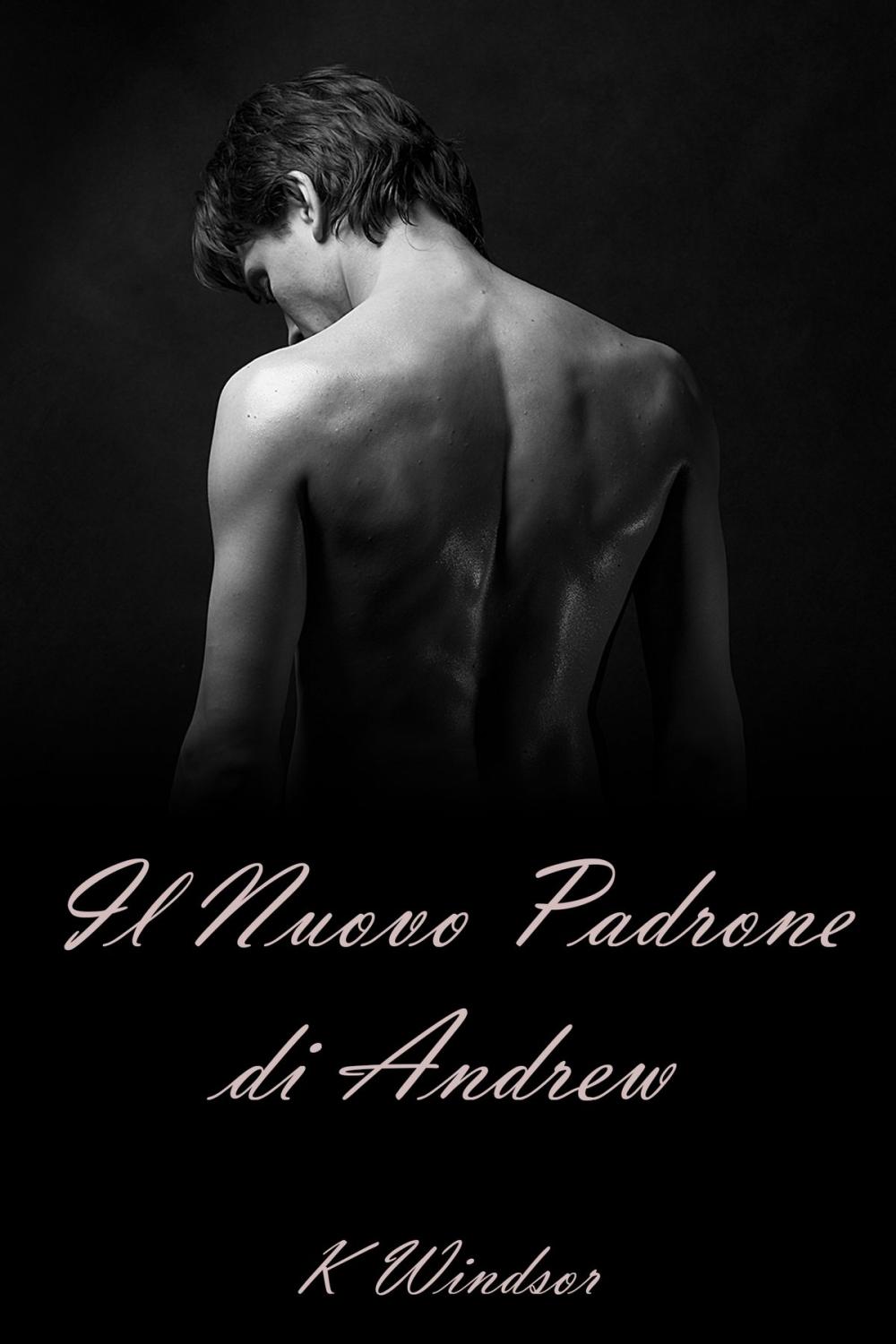 Big bigCover of Il Nuovo Padrone di Andrew