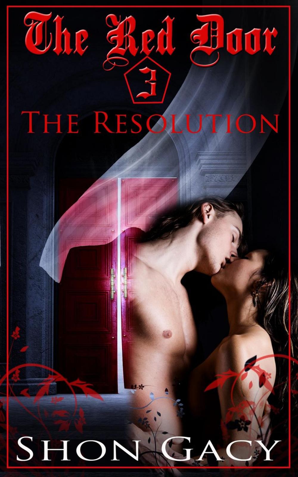 Big bigCover of The Red Door 3: The Resolution