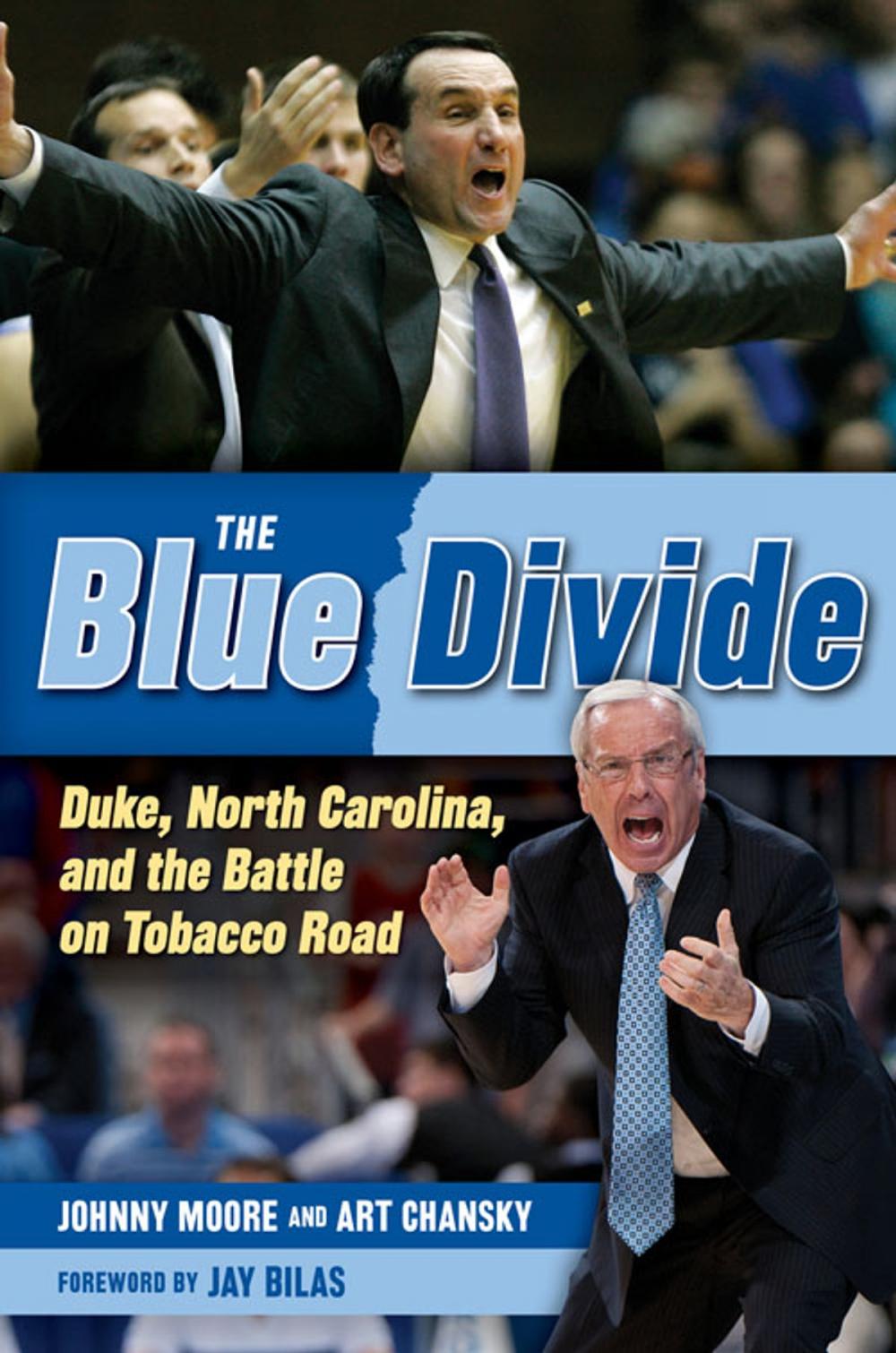 Big bigCover of The Blue Divide