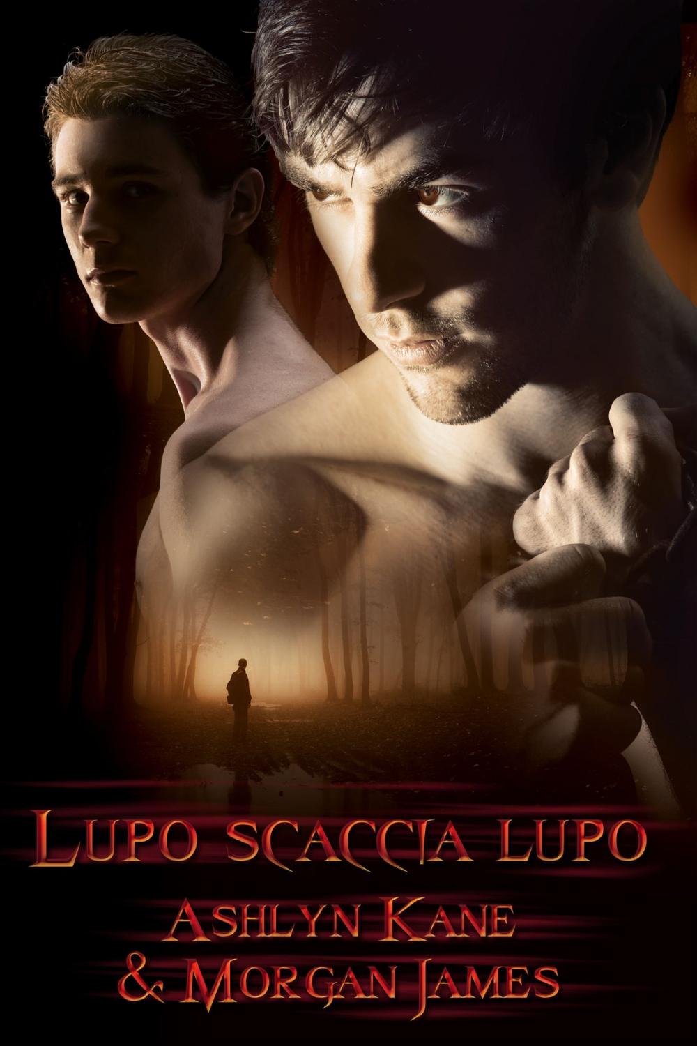 Big bigCover of Lupo scaccia lupo