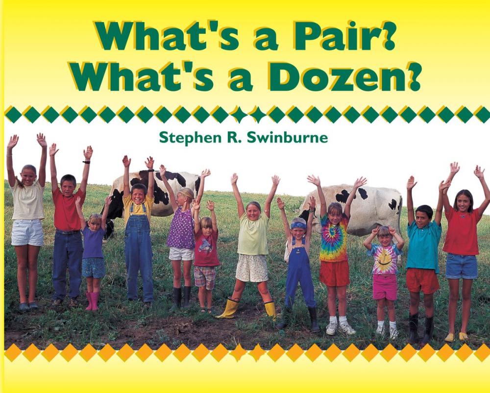 Big bigCover of What's a Pair? What's a Dozen?