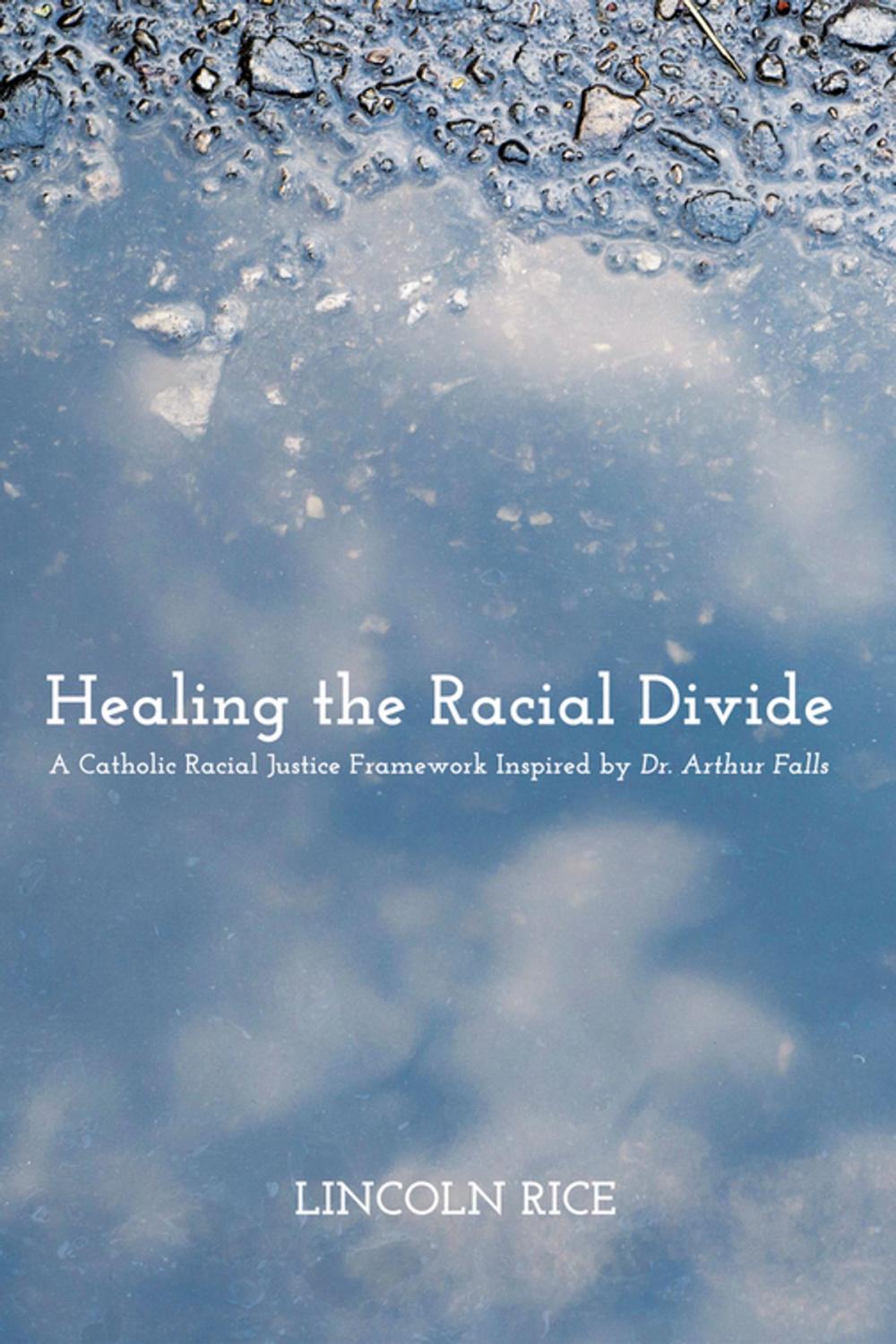 Big bigCover of Healing the Racial Divide