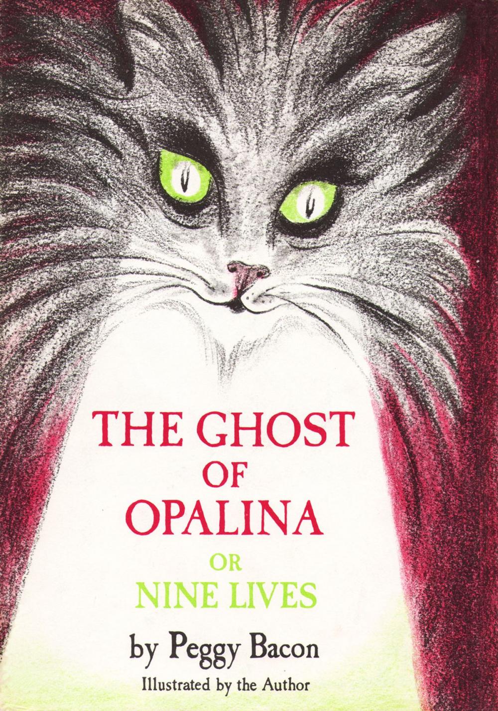 Big bigCover of The Ghost of Opalina, or Nine Lives