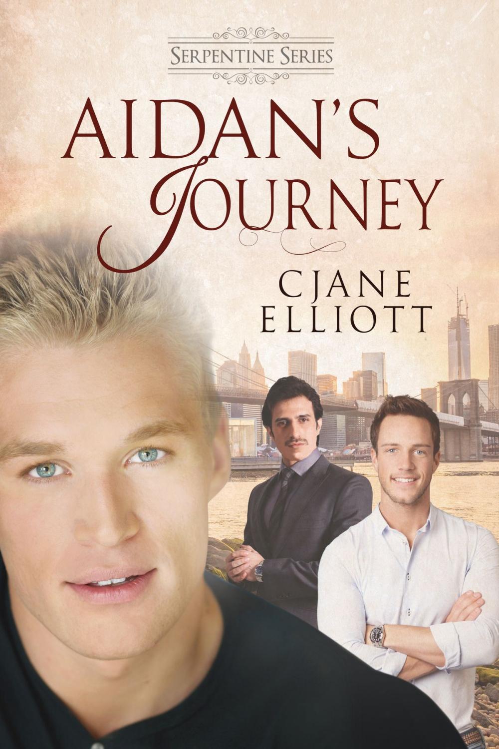 Big bigCover of Aidan's Journey