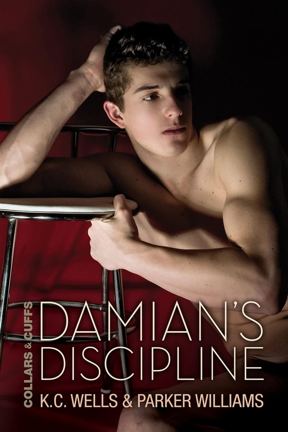 Big bigCover of Damian's Discipline