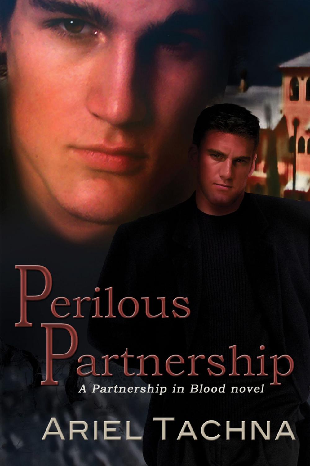 Big bigCover of Perilous Partnership