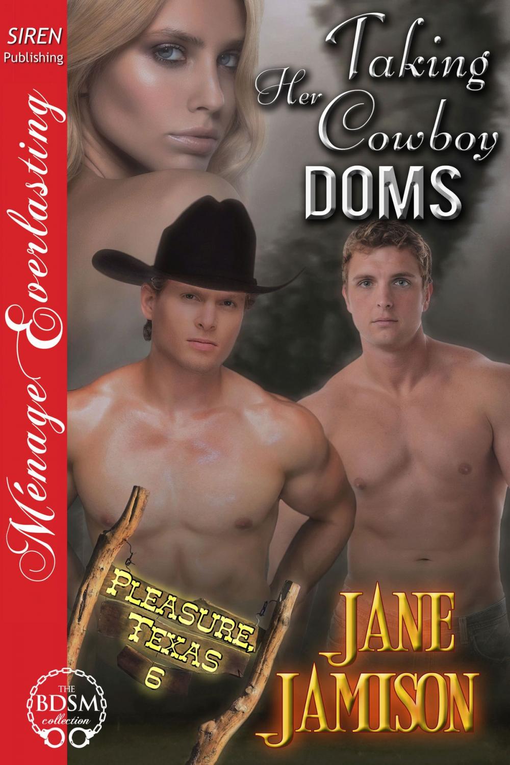 Big bigCover of Taking Her Cowboy Doms