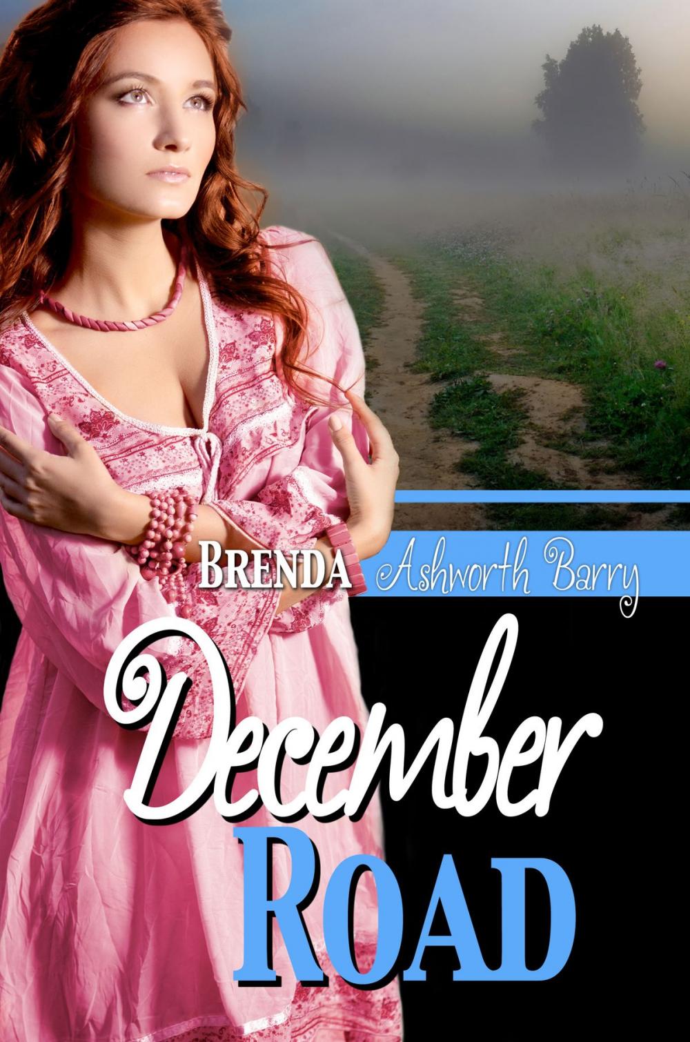 Big bigCover of December Road