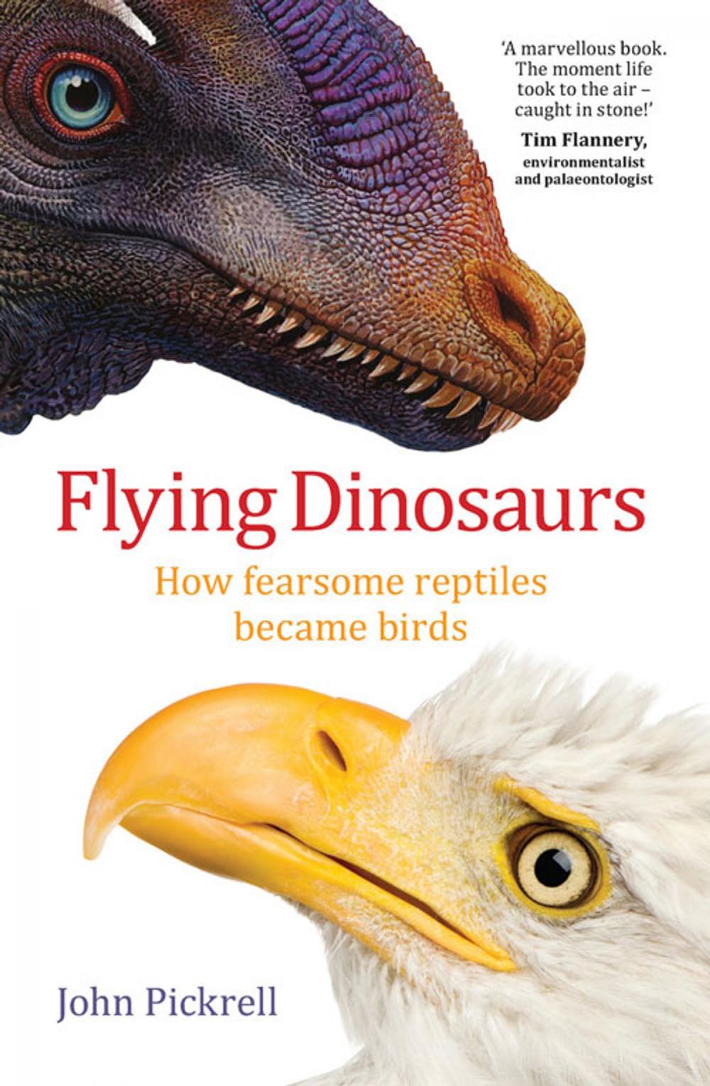 Big bigCover of Flying Dinosaurs