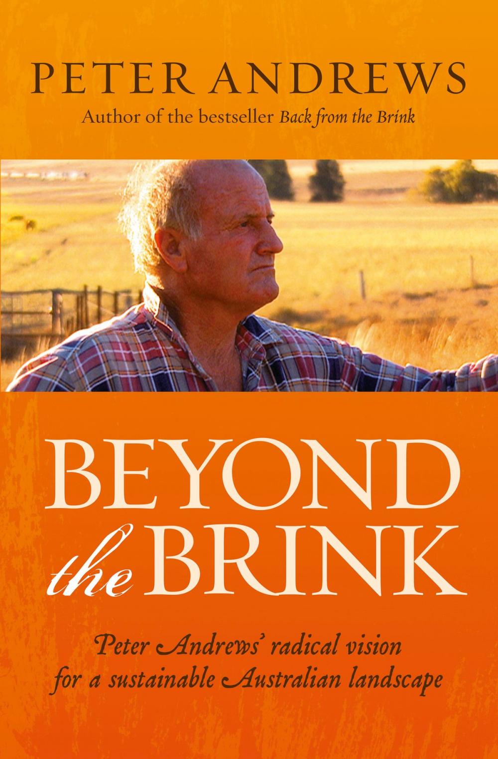 Big bigCover of Beyond the Brink