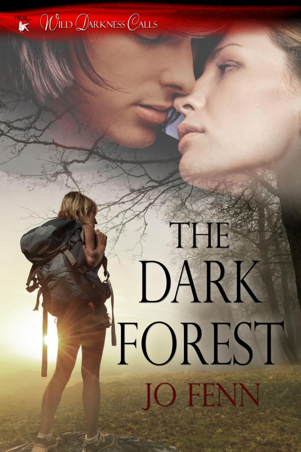 Big bigCover of The Dark Forest