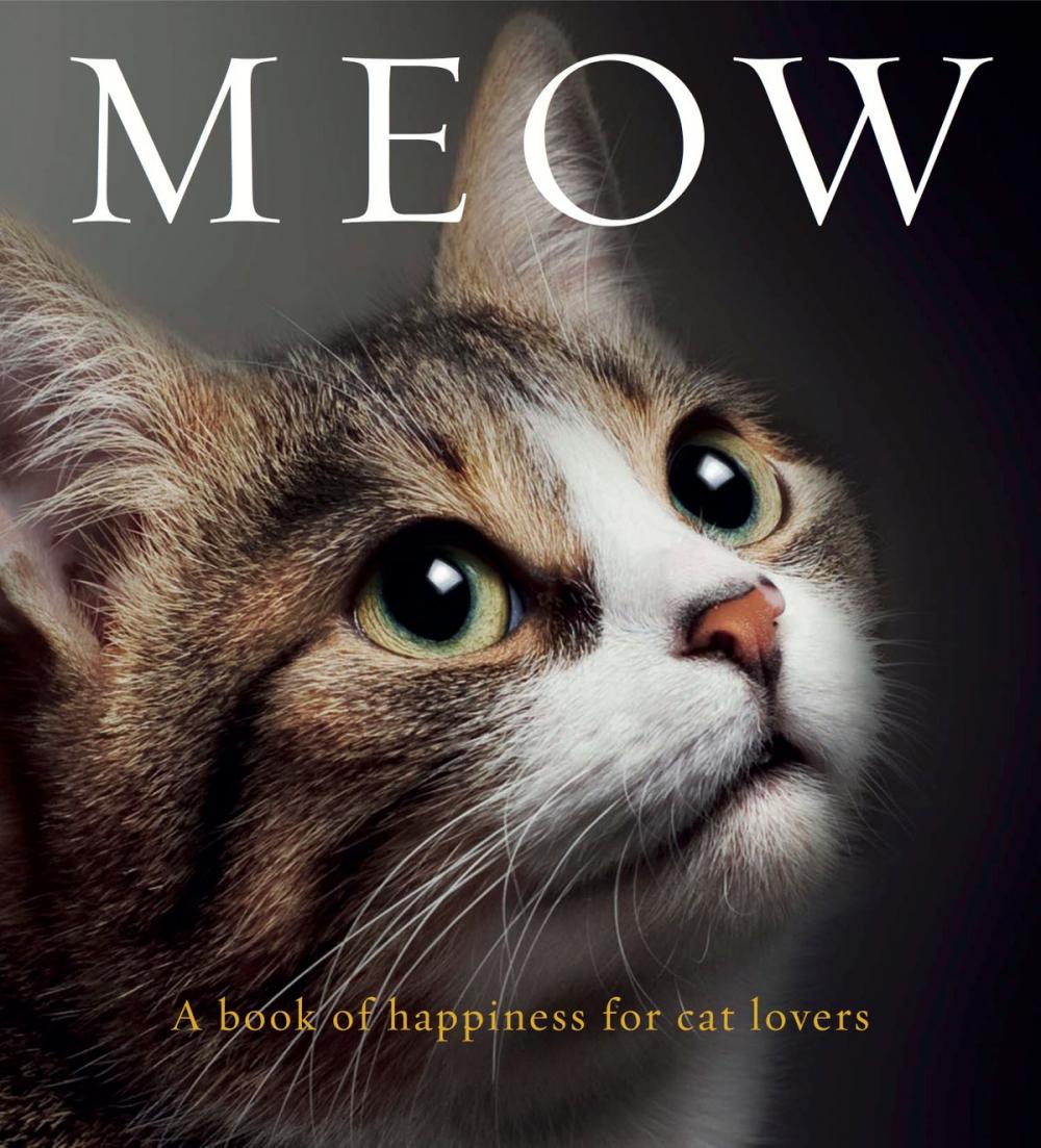 Big bigCover of Meow