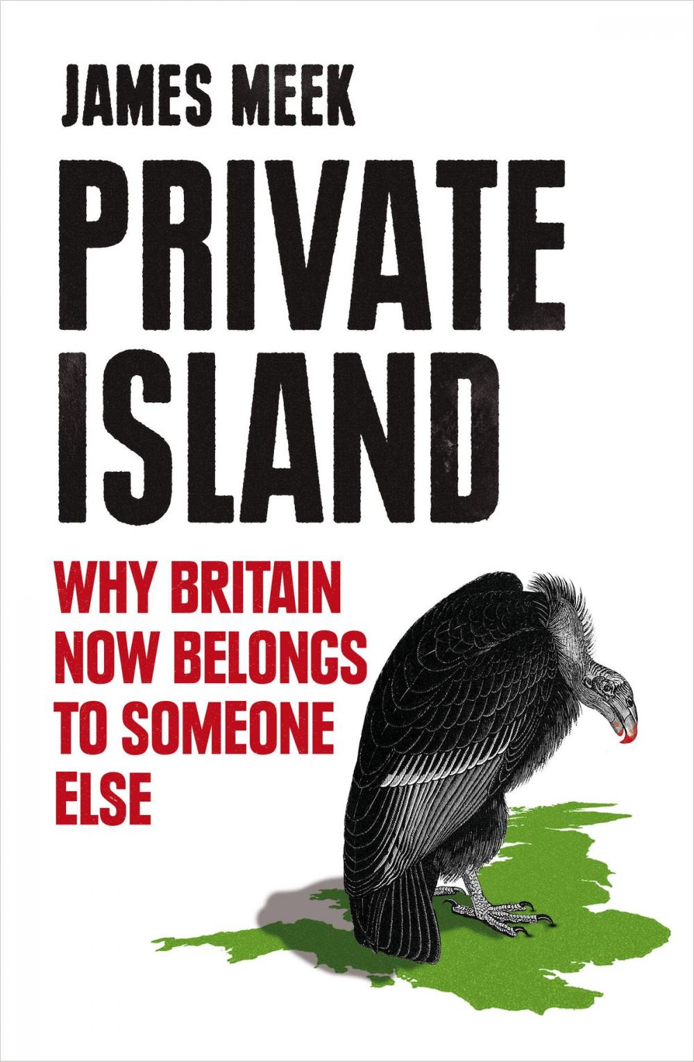 Big bigCover of Private Island