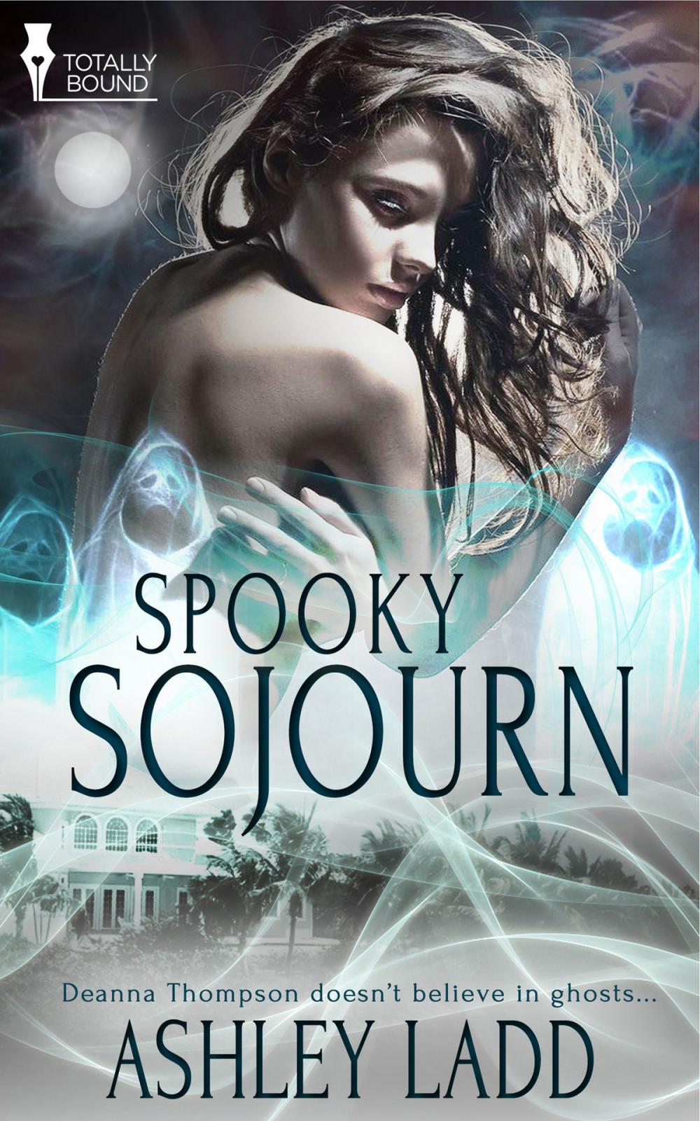 Big bigCover of Spooky Sojourn