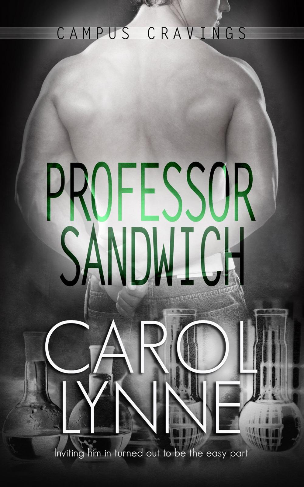 Big bigCover of Professor Sandwich