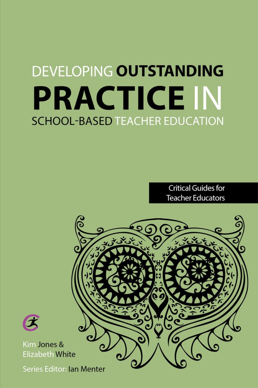 Big bigCover of Developing outstanding practice in school-based teacher education