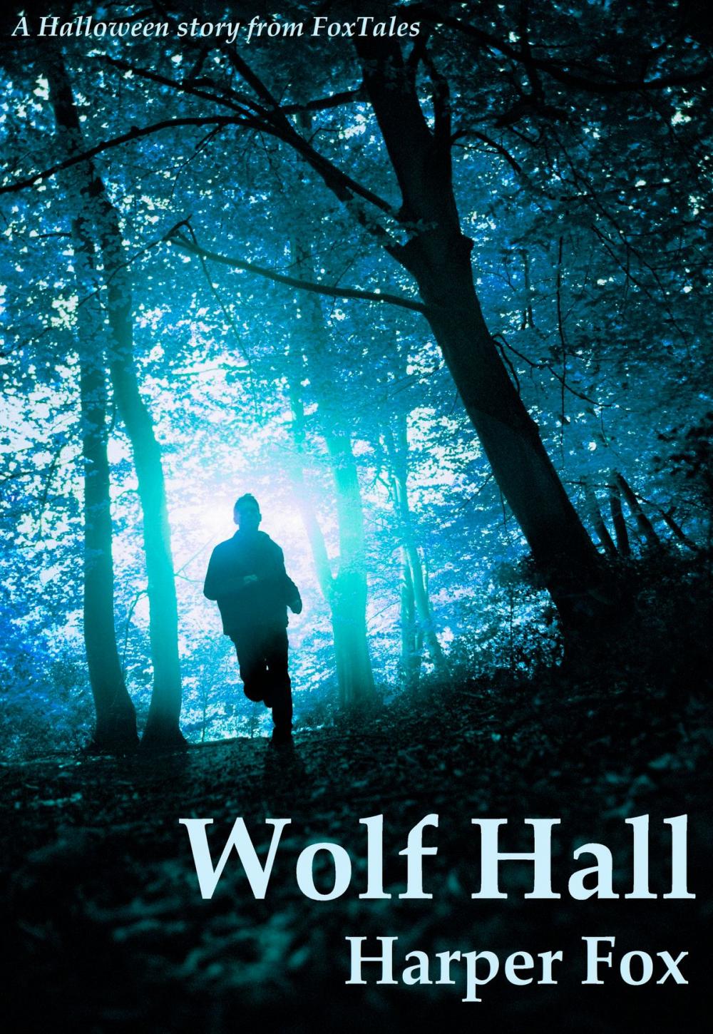 Big bigCover of Wolf Hall