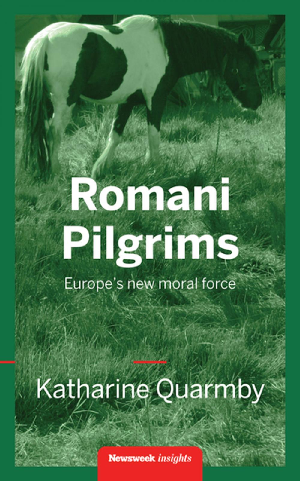 Big bigCover of Romani Pilgrims