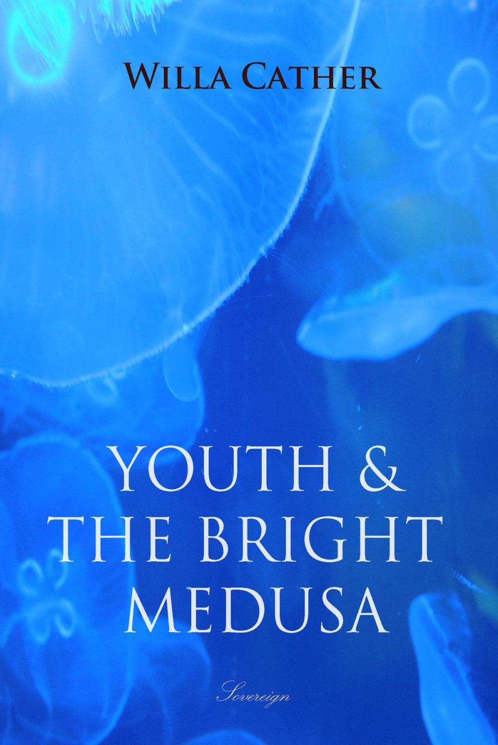 Big bigCover of Youth and the Bright Medusa