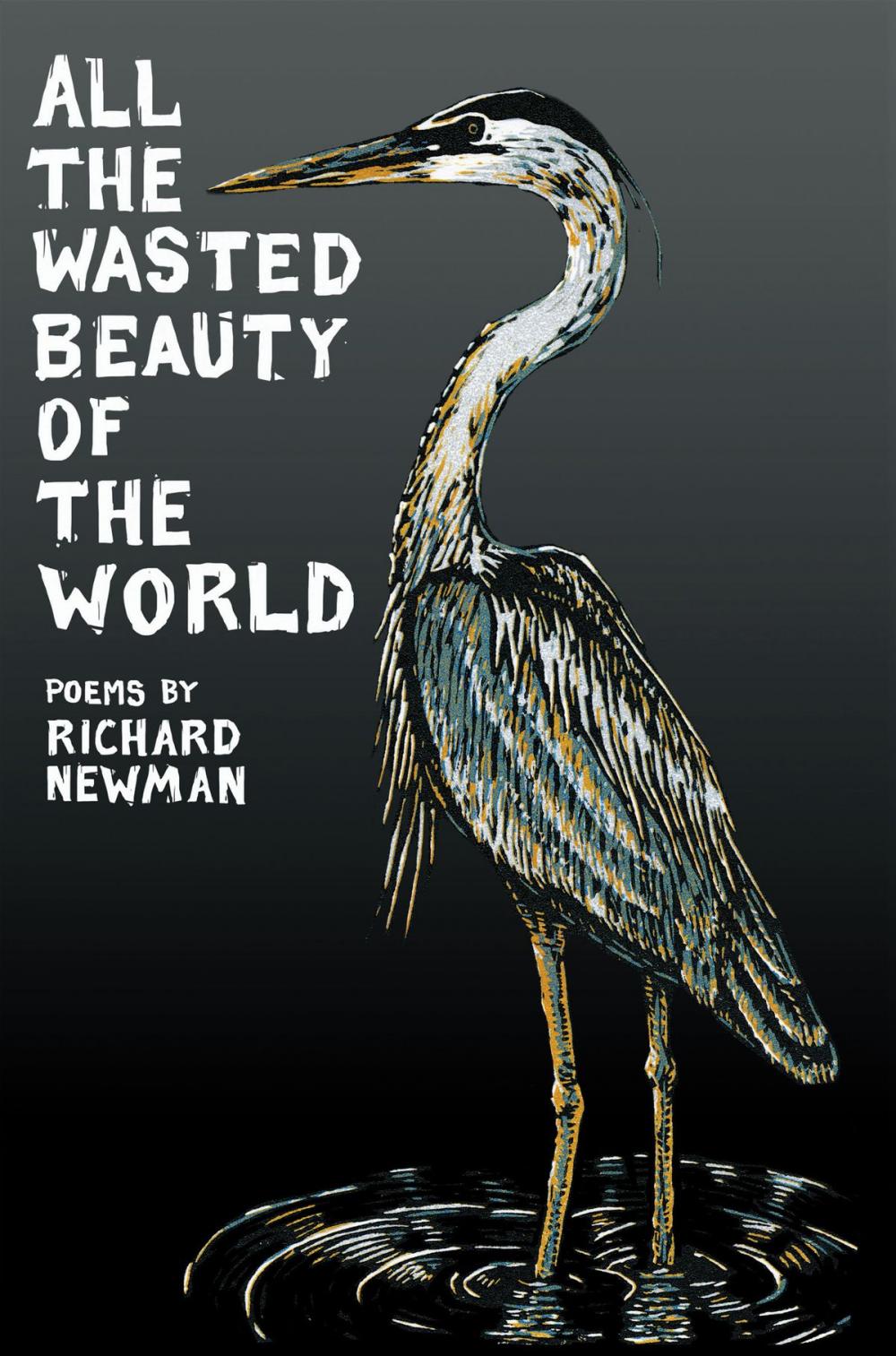 Big bigCover of All the Wasted Beauty of the World - Poems