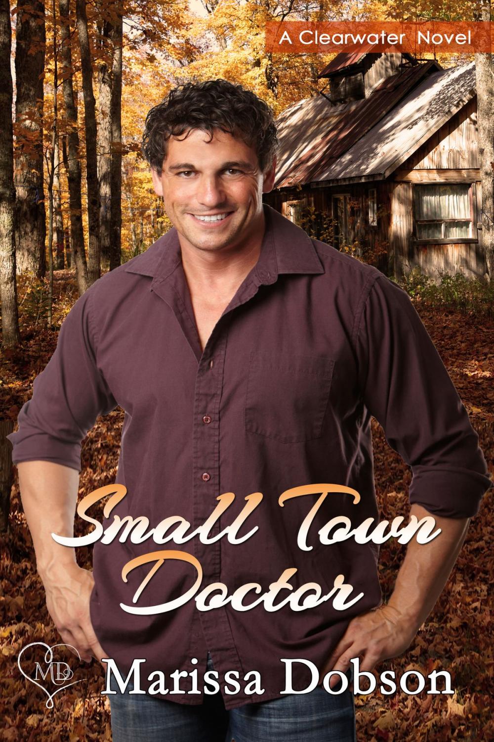 Big bigCover of Small Town Doctor