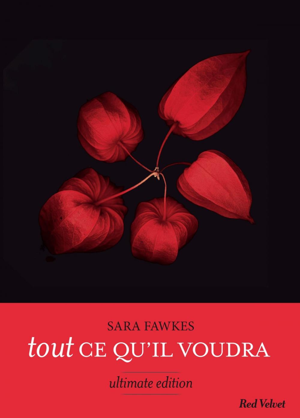 Big bigCover of Tout ce qu'il voudra - Ultimate edition