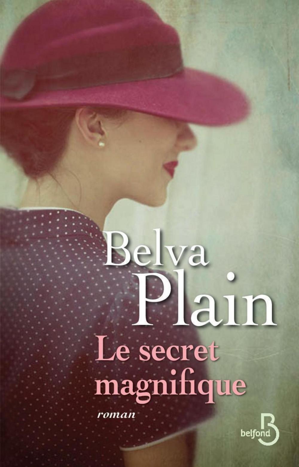 Big bigCover of Le secret magnifique