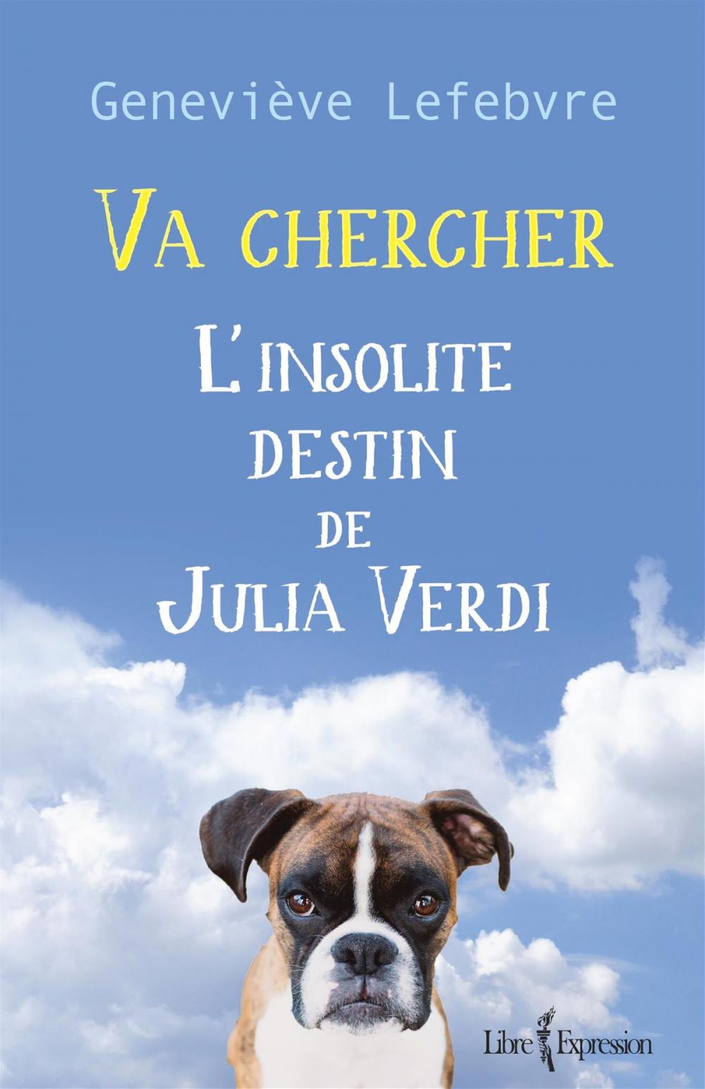 Big bigCover of Va chercher