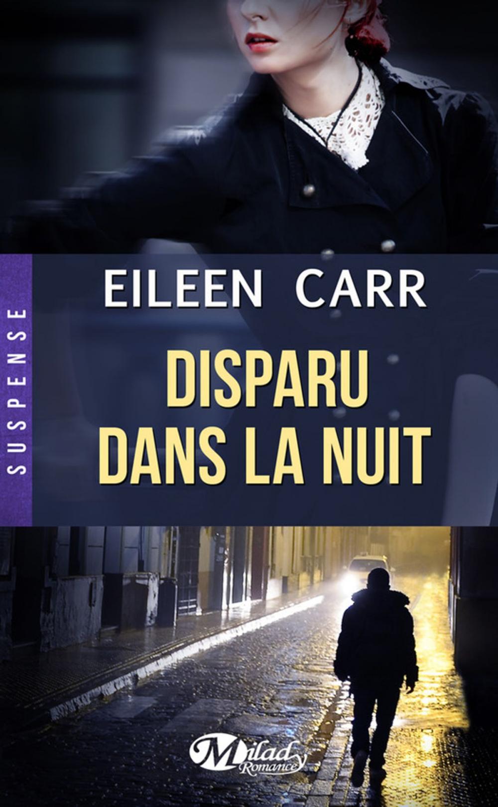 Big bigCover of Disparu dans la nuit