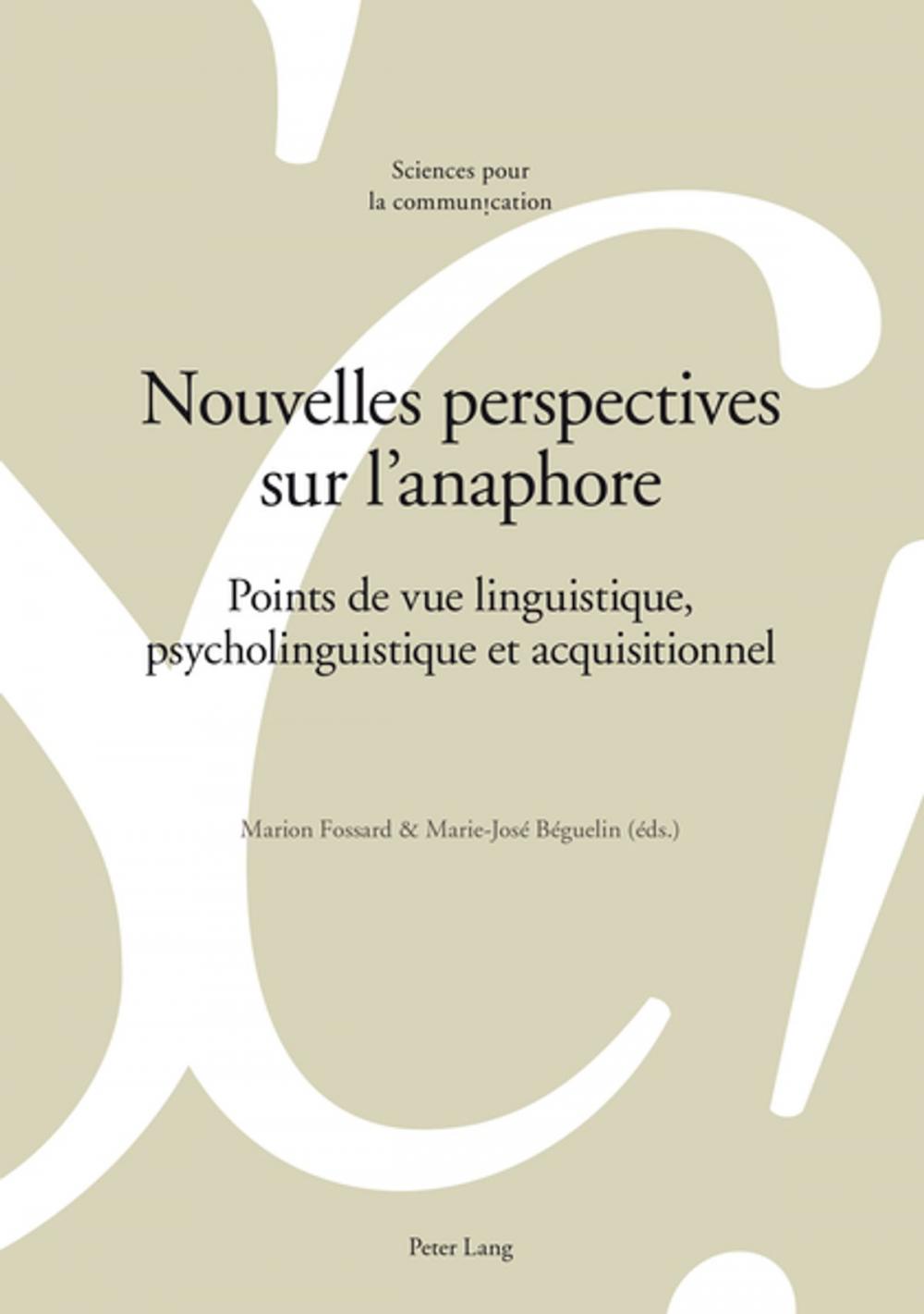 Big bigCover of Nouvelles perspectives sur lanaphore