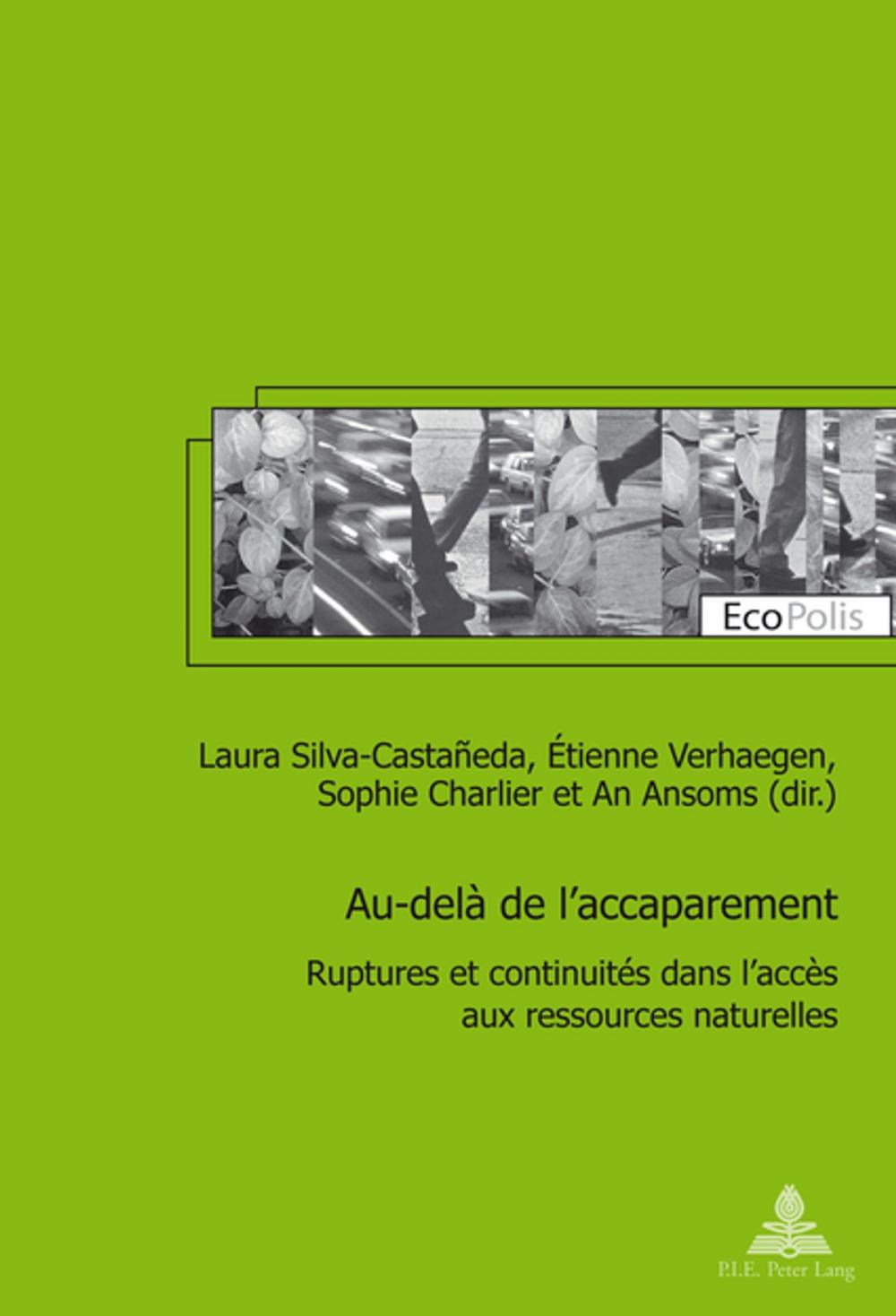 Big bigCover of Au-delà de laccaparement