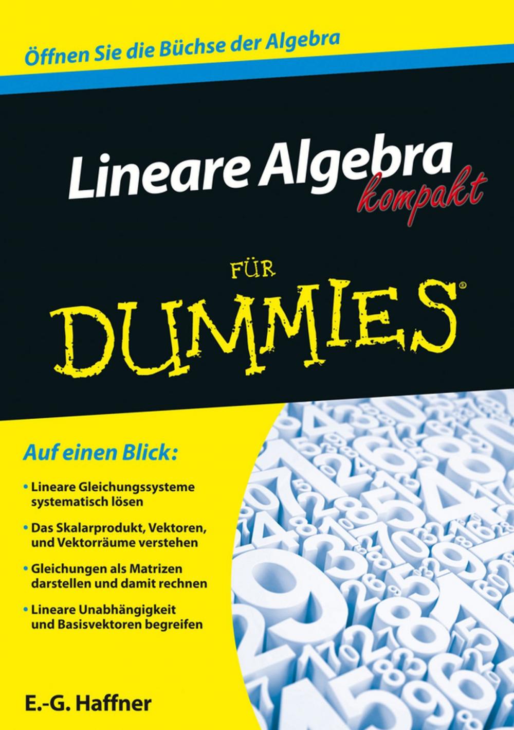 Big bigCover of Lineare Algebra kompakt für Dummies