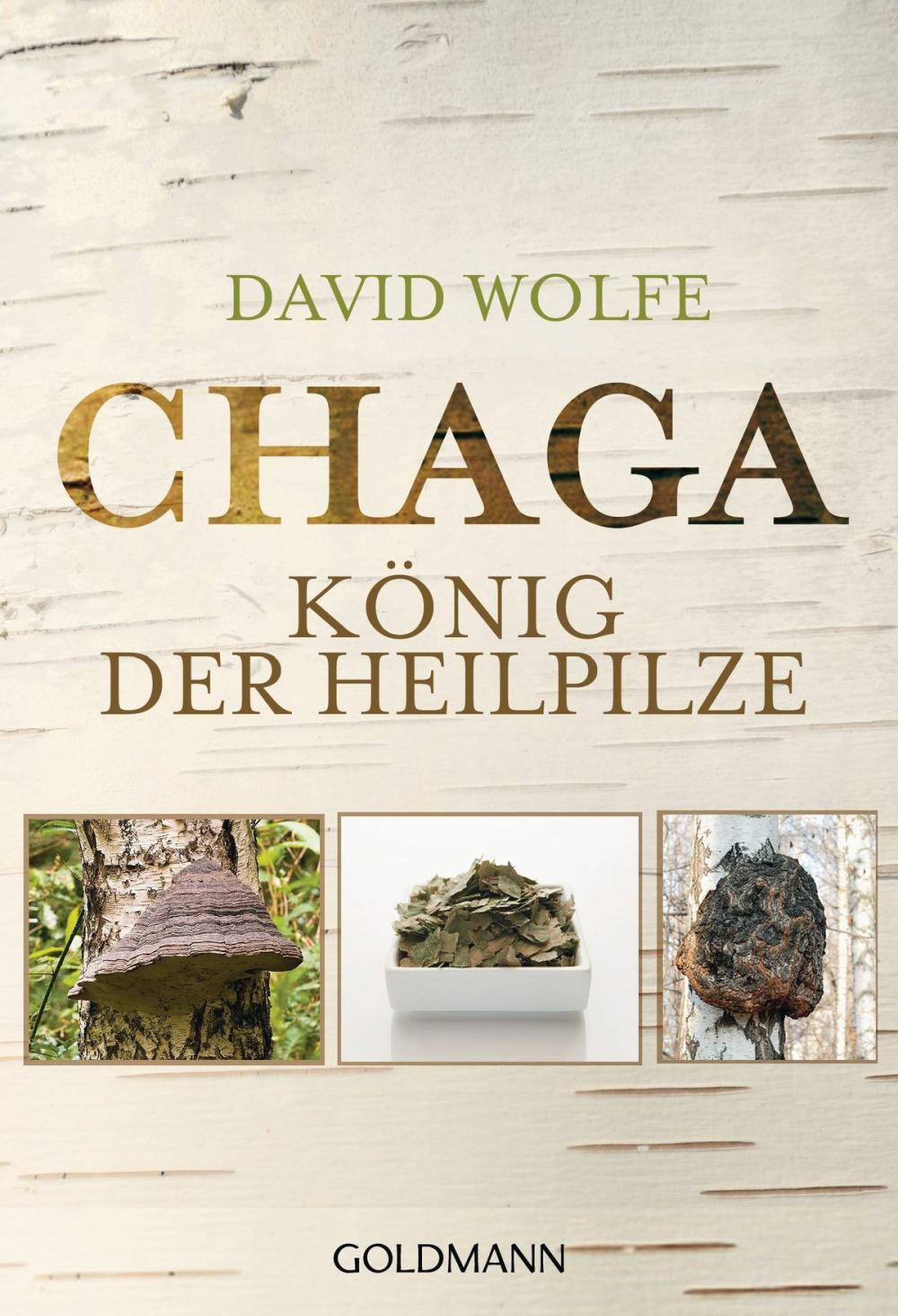 Big bigCover of Chaga