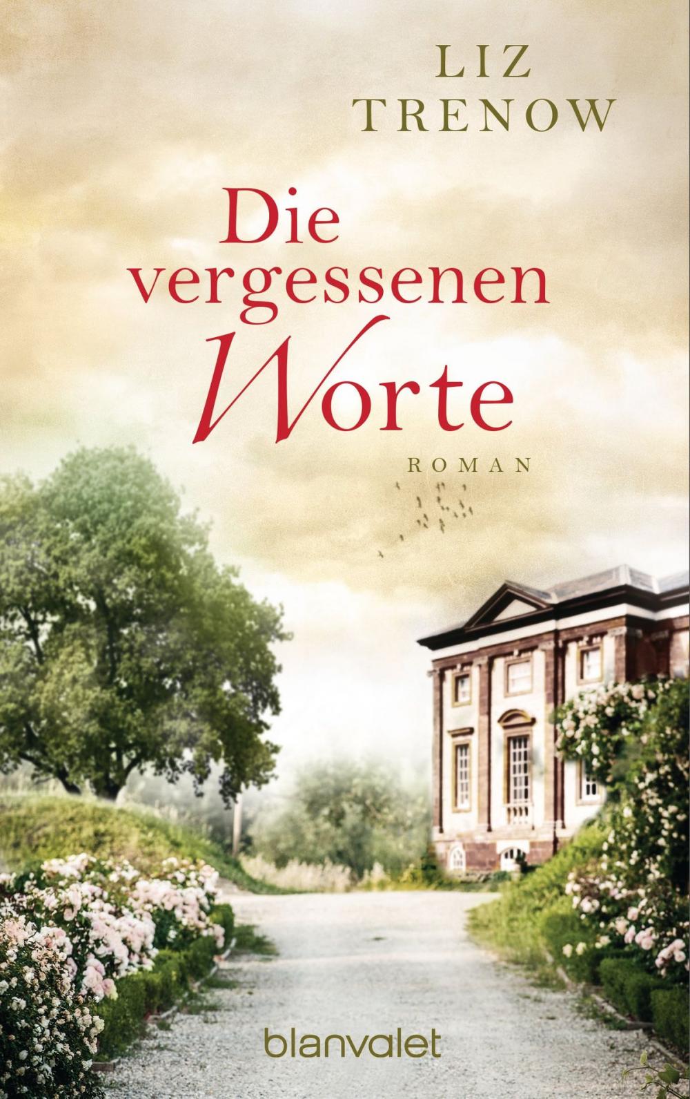 Big bigCover of Die vergessenen Worte