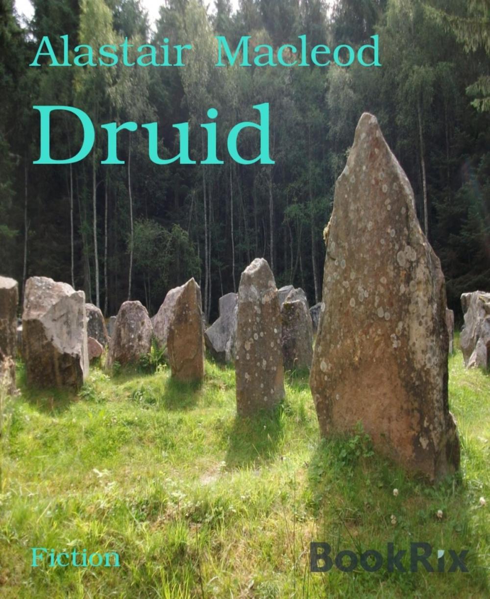 Big bigCover of Druid